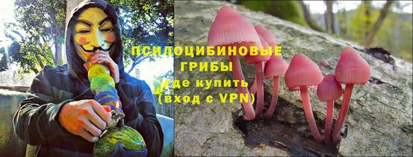 прущий лед Алексеевка