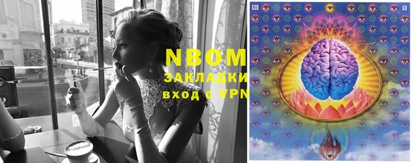 сатива Абинск