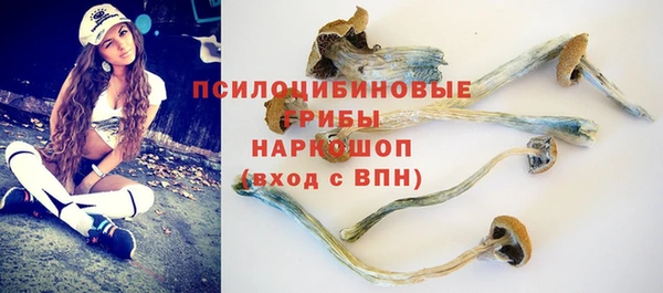 сатива Абинск