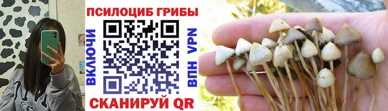 Псилоцибиновые грибы MAGIC MUSHROOMS Кораблино